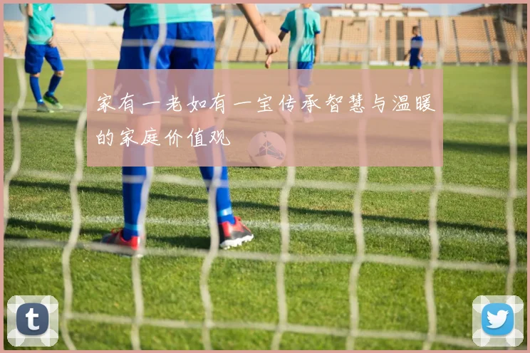 家有一老如有一宝传承智慧与温暖的家庭价值观