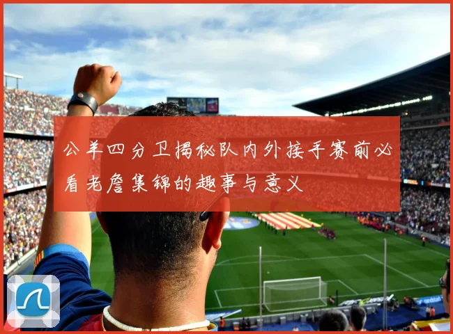 公羊四分卫揭秘队内外接手赛前必看老詹集锦的趣事与意义