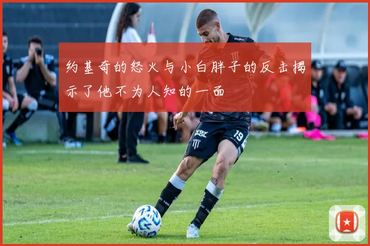 约基奇的怒火与小白胖子的反击揭示了他不为人知的一面