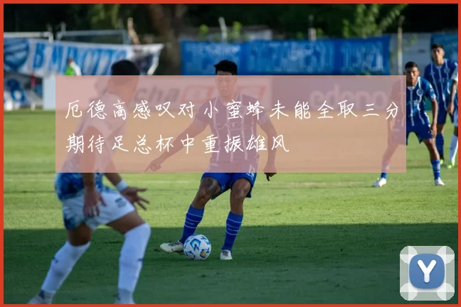厄德高感叹对小蜜蜂未能全取三分期待足总杯中重振雄风