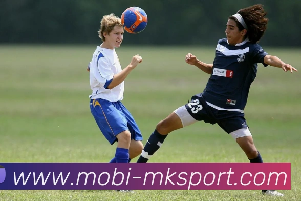 MK体育APP 体育赛事宣传图