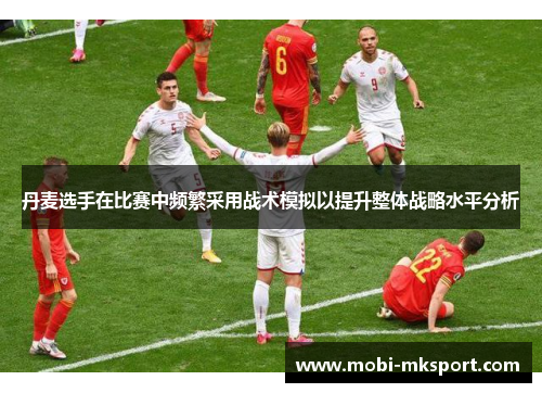 丹麦选手在比赛中频繁采用战术模拟以提升整体战略水平分析