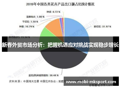 新春外贸市场分析：把握机遇应对挑战实现稳步增长