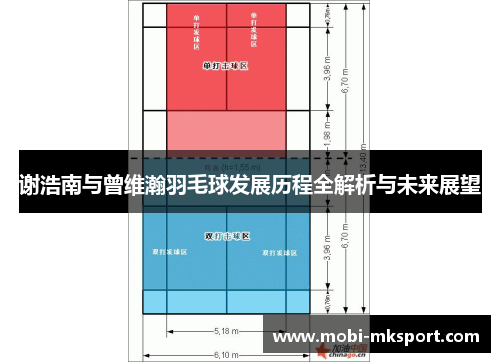 谢浩南与曾维瀚羽毛球发展历程全解析与未来展望