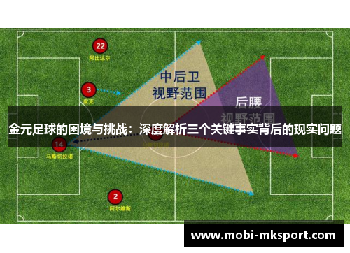 金元足球的困境与挑战：深度解析三个关键事实背后的现实问题